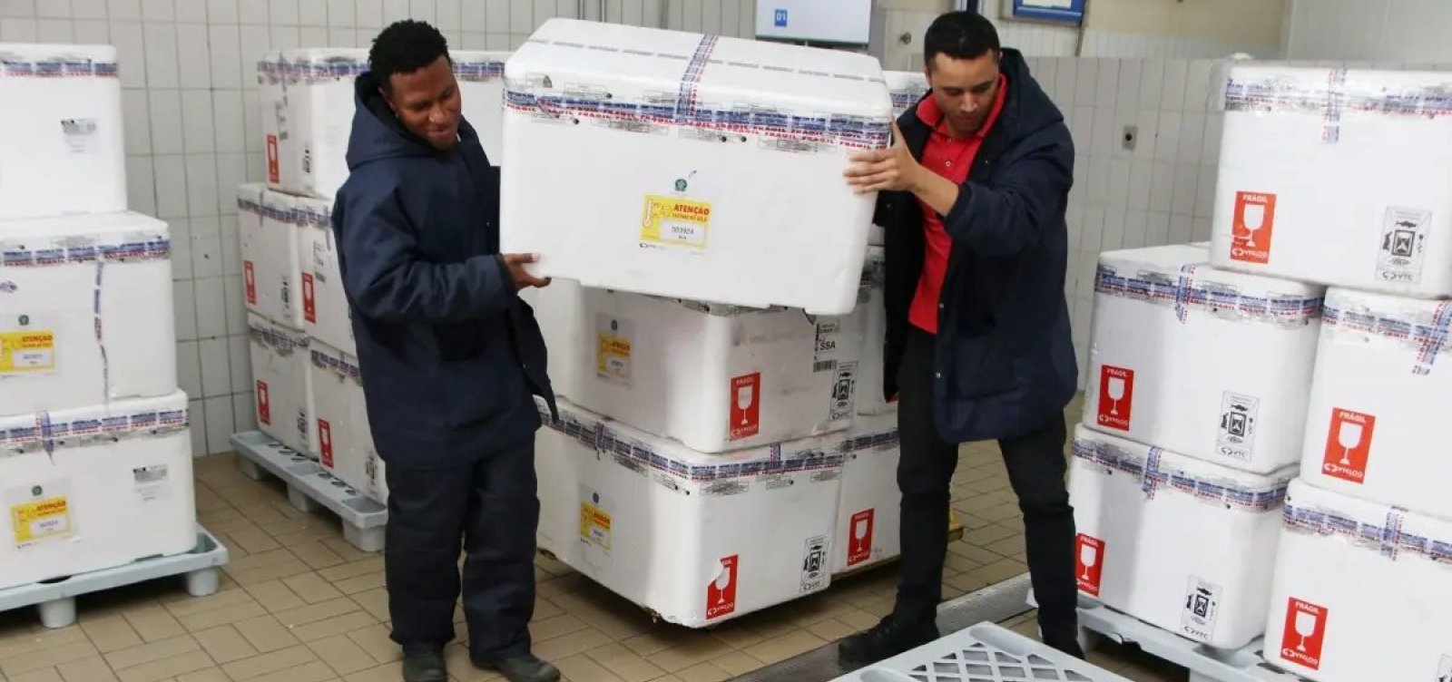 Bahia inicia distribuição de vacinas contra influenza nesta segunda-feira