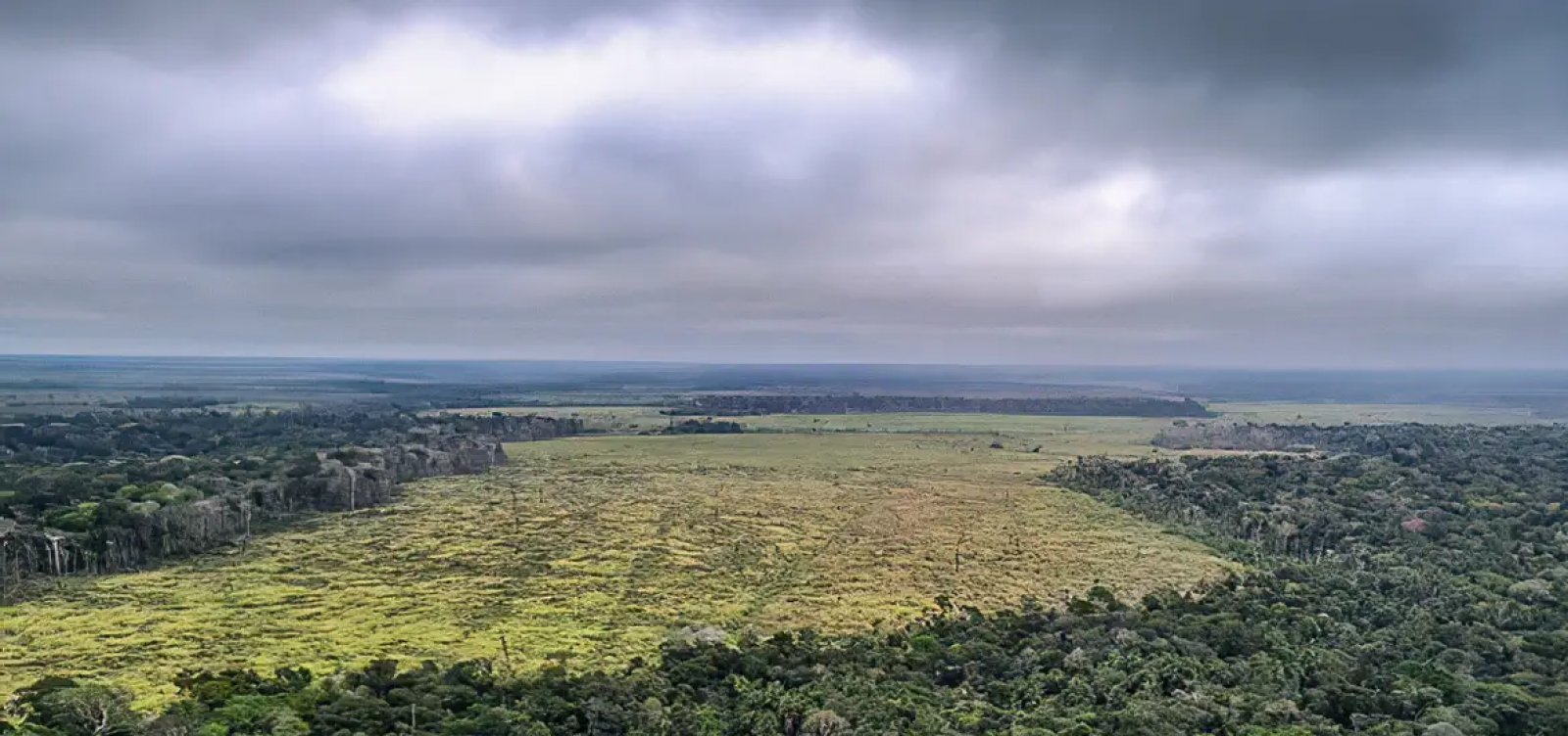 Desmatamento responde por 74,5% da redução de chuvas na Amazônia durante a seca