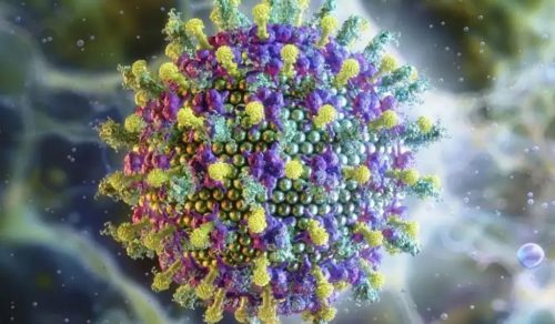 Novo surto de Nipah preocupa: o Brasil corre risco no Carnaval?