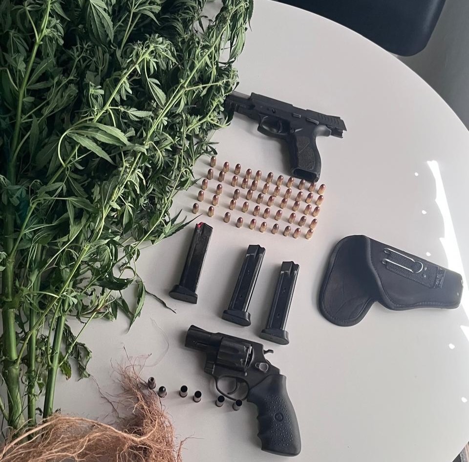 Curaçá: CIPE-Caatinga erradica 10 mil pés de maconha e apreende armas; suspeito foi preso e outro morreu durante operação