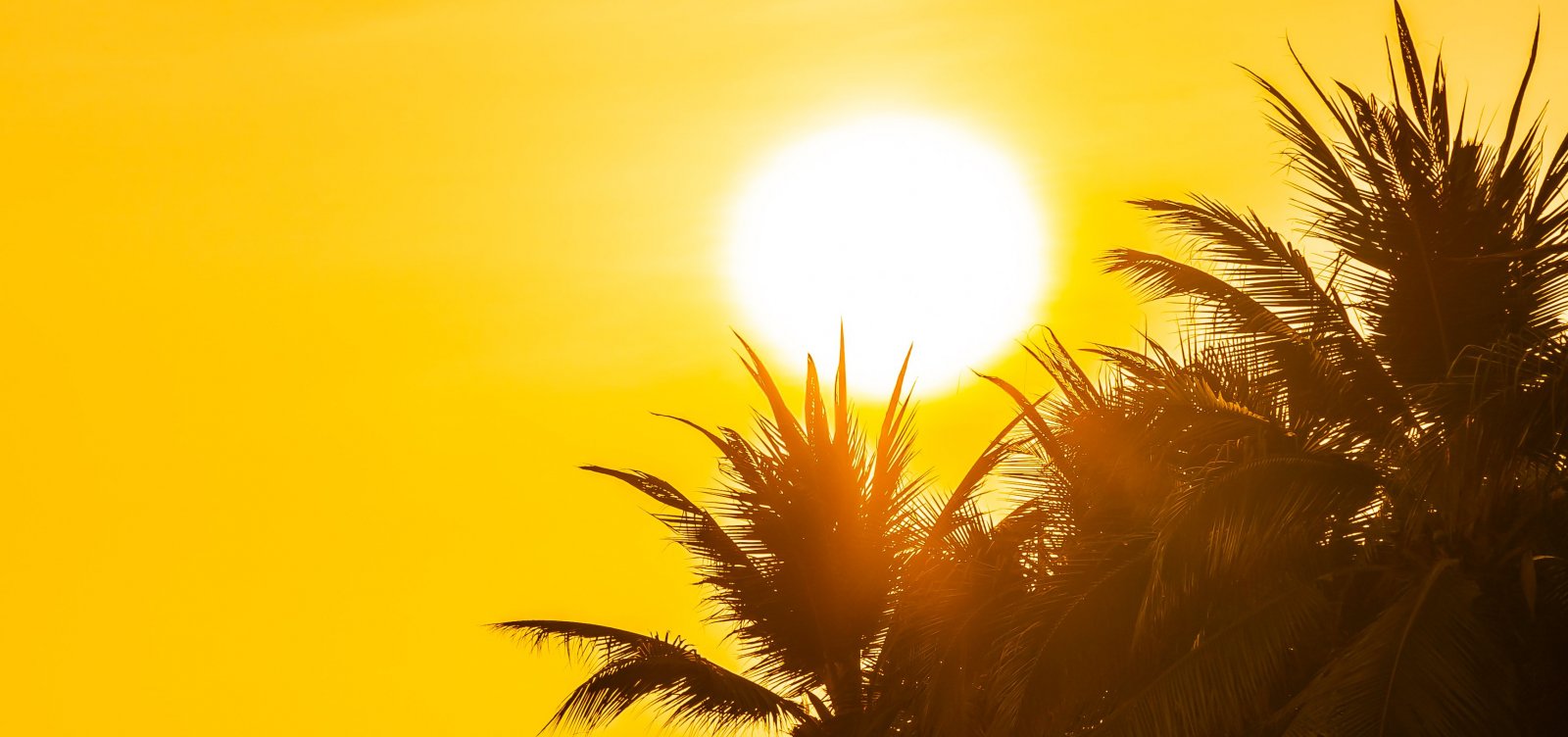 Calor de mais de 41 °C e umidade crítica colocam Bahia em alerta nos próximos dias